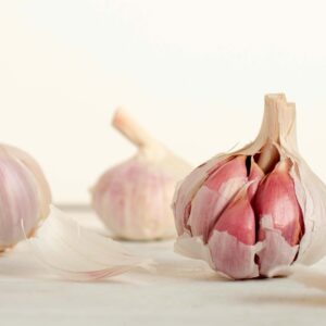 Garlic