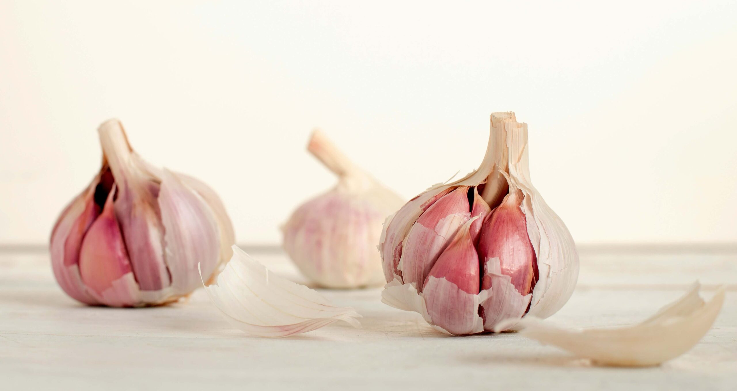 Garlic 1 Garlic