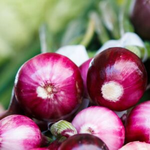 Export Quality Red Onions from India