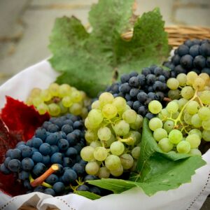 Export Quality Grapes from India