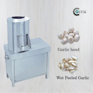 Export Quality SS Wet Garlic Processing Machine