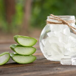 Export Quality Alove Vera Gel from India