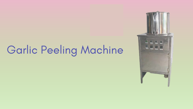Garlic Processing Plant - Garlic Peeling Machine