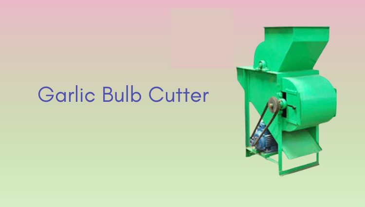Garlic Bulb Cutter 1 Garlic Processing Plant - Garlic Bulb Cutter Machine