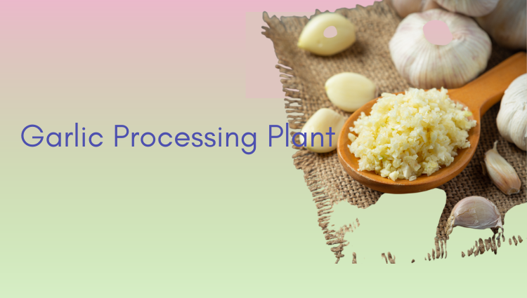 Garlic Processing Machines 1 Almighty Global Corporation LLP