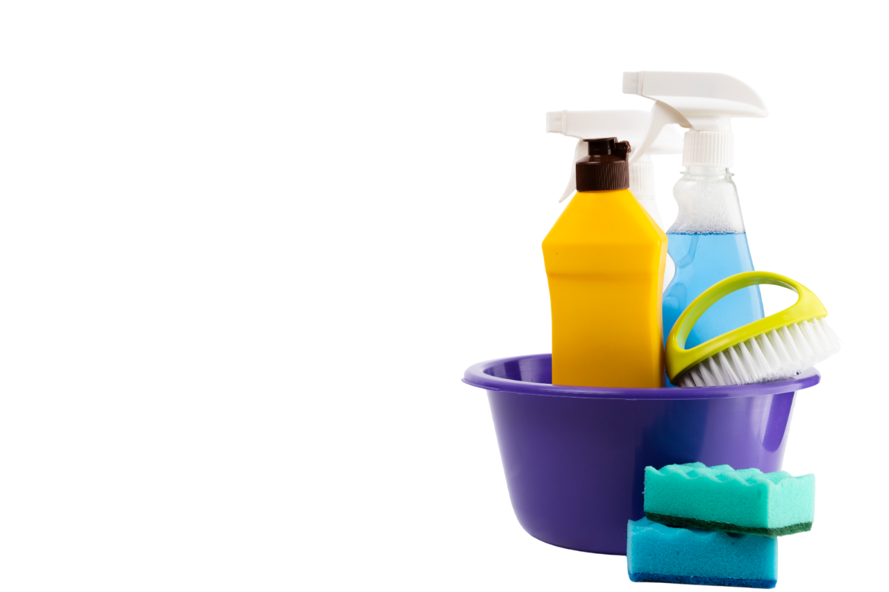 Premium Quality Cleaning Supplies from India
